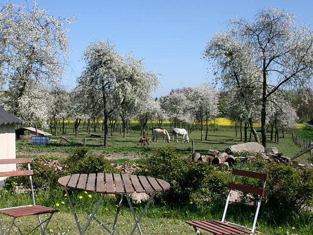 特格拉伽登经济型酒店（客房&早餐）主图