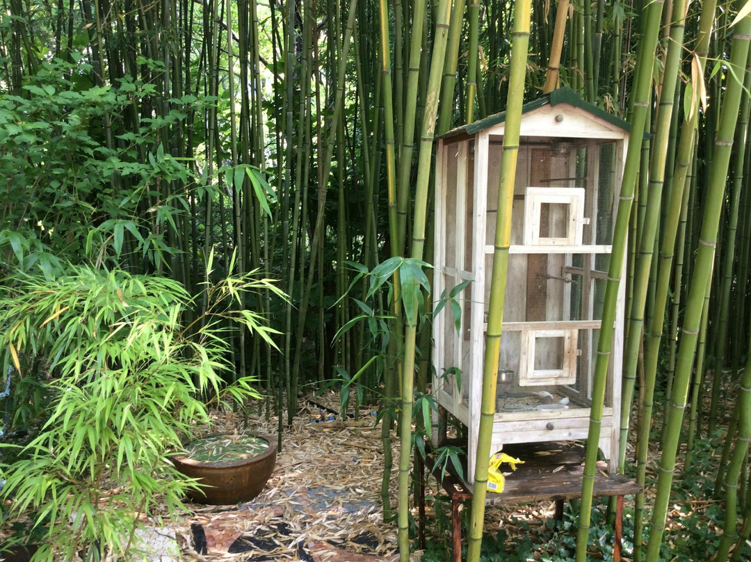 Le Jardin Les Bambous du Mandarin景点图片