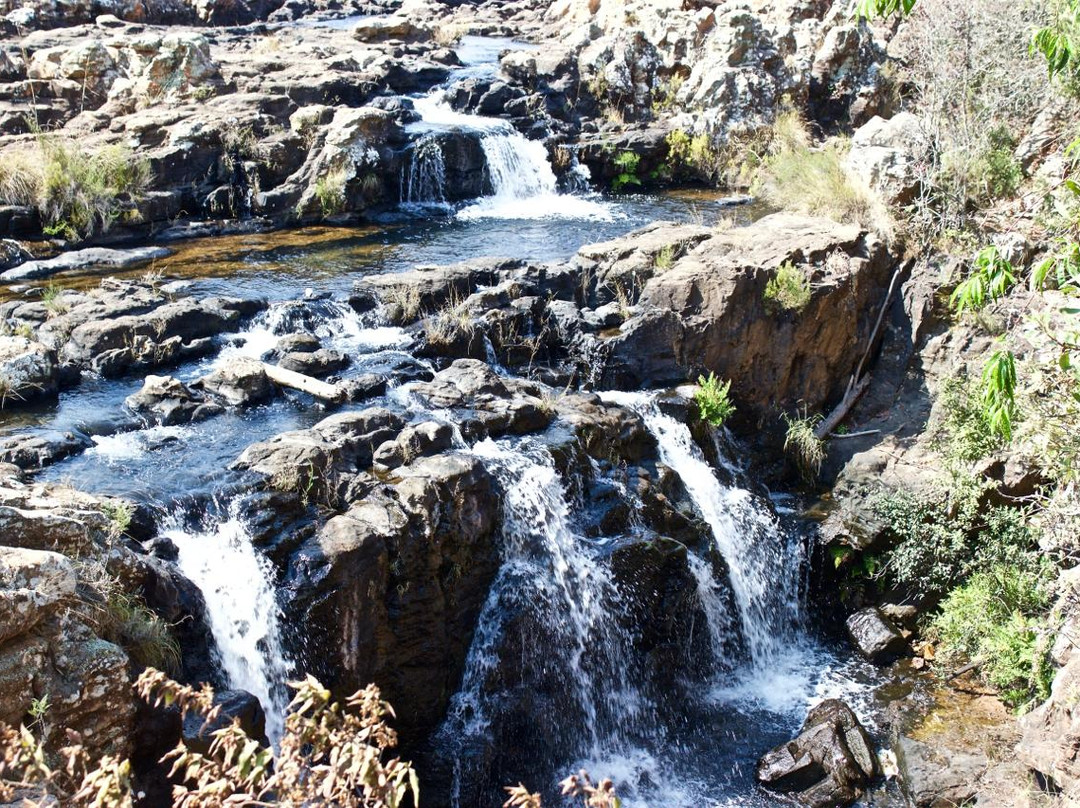 Kruger Flexi Tours - Day Tours-尼斯普鲁特必去景点
