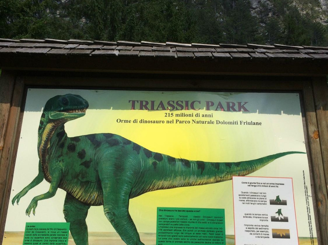 Orme di Dinosauro presso Casera Casavento景点图片