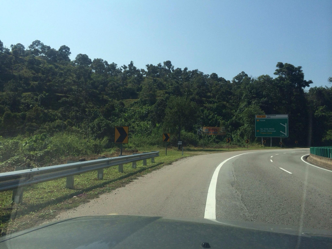 Jimmy's Durian Orchard景点图片