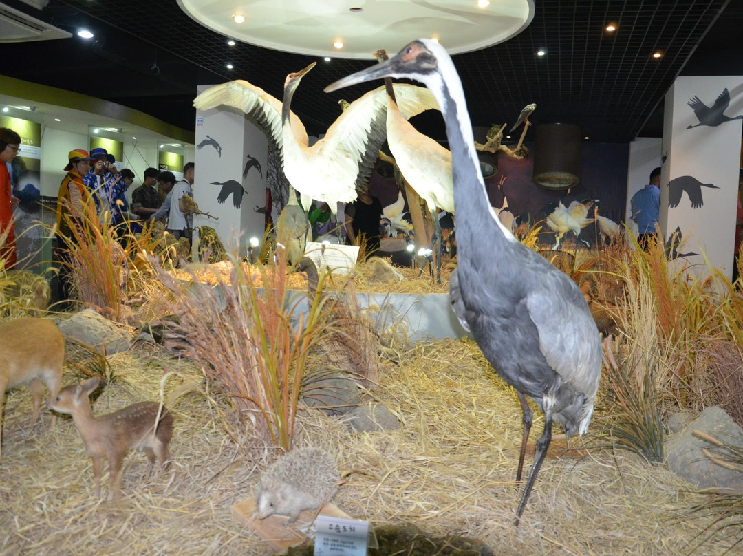 Woljeongri Station-铁原郡必去景点