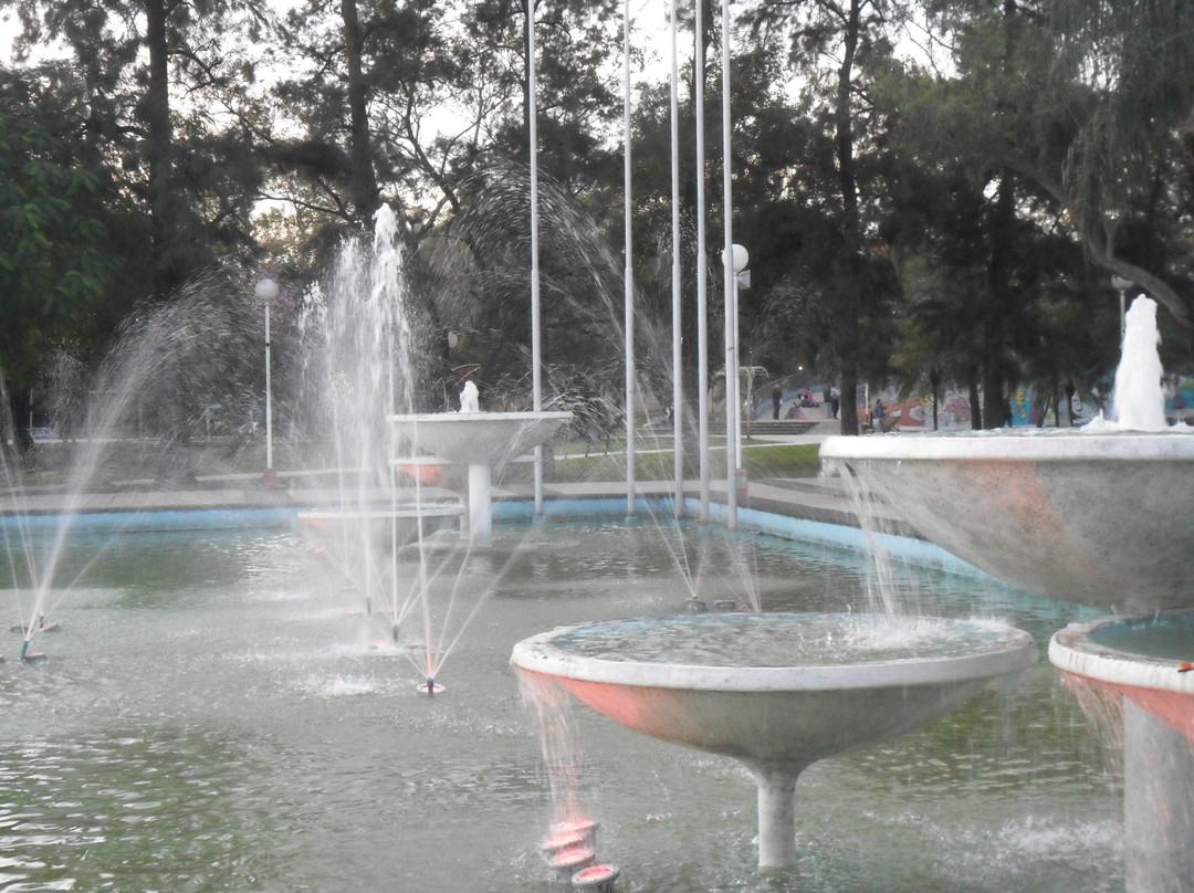 Plaza San Martin景点图片