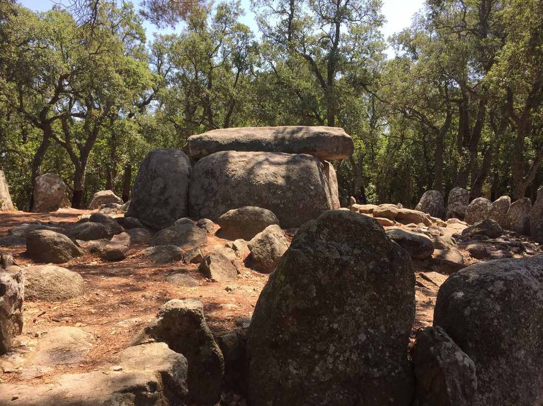 Cova d' en Daina景点图片