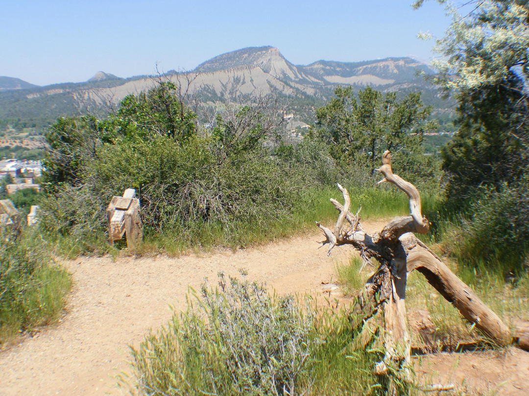 Rim Trail/ Campus Loop-杜兰戈必去景点