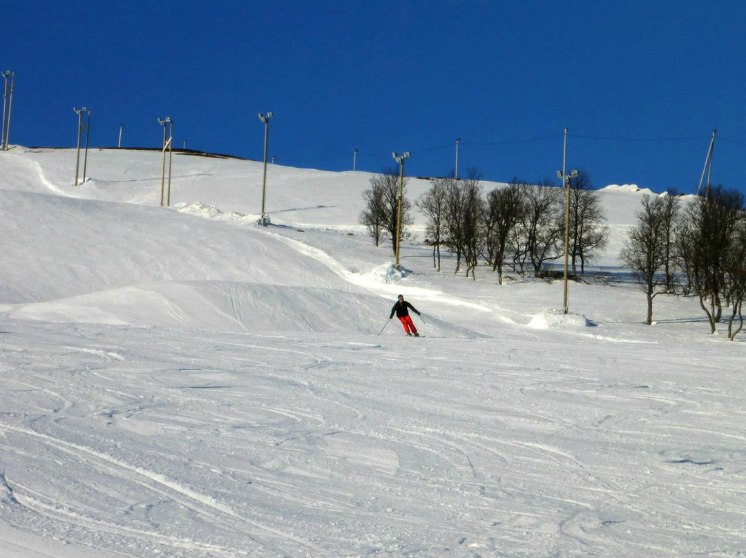 Sollifjellet Alpinsenter景点图片