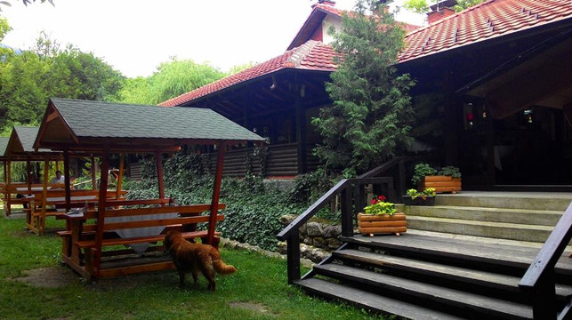 Stenjevac餐馆和美食-Restoran Vodopad Lisine