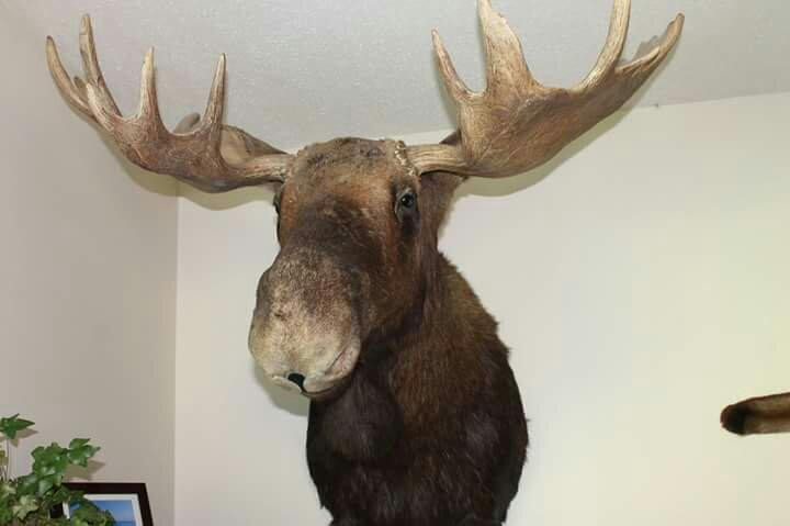 Dunphy's Bed and Breakfast主图