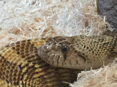 海伦·舒勒自然中心-莱斯布里奇必去景点