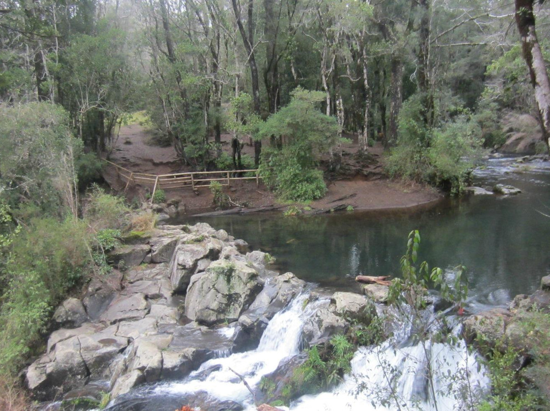 Region IX Ltd-比亚里卡必去景点