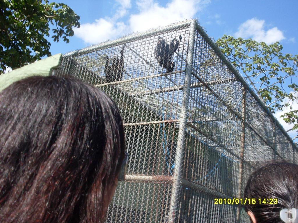 Parque Aquático Rolf-Mata de Sao Joao必去景点