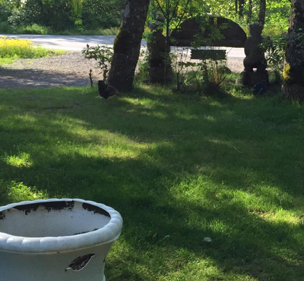 Eider House Bed & Breakfast主图