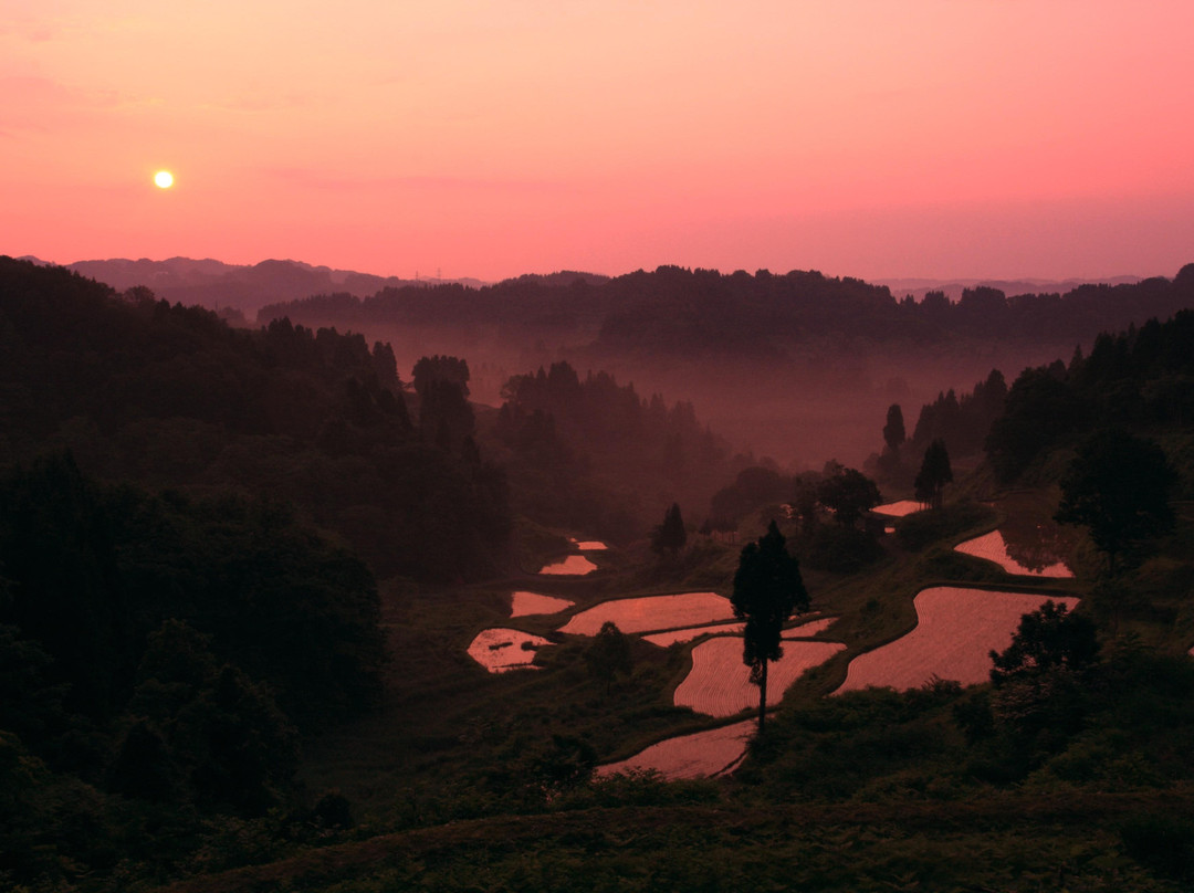 Kamou Rice Terraces景点图片