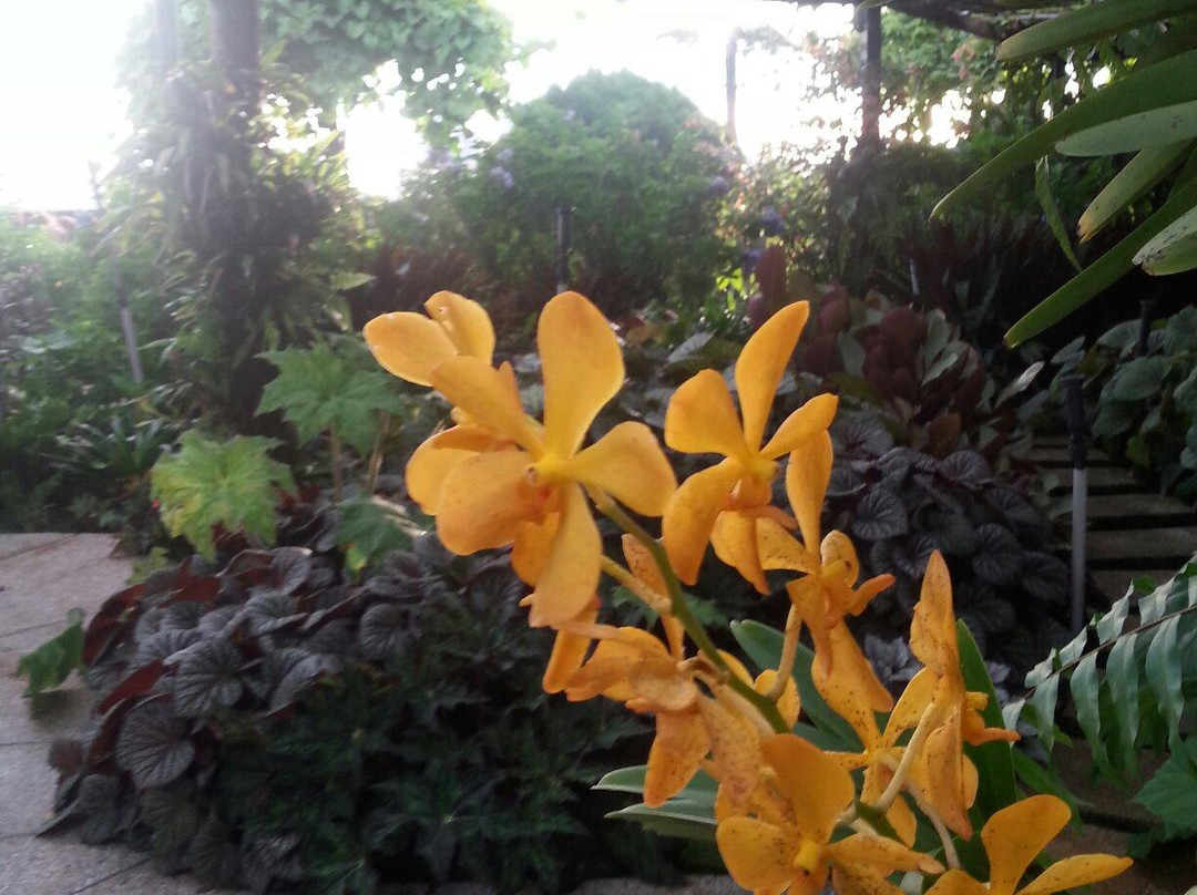 The Secret Garden Utama景点图片