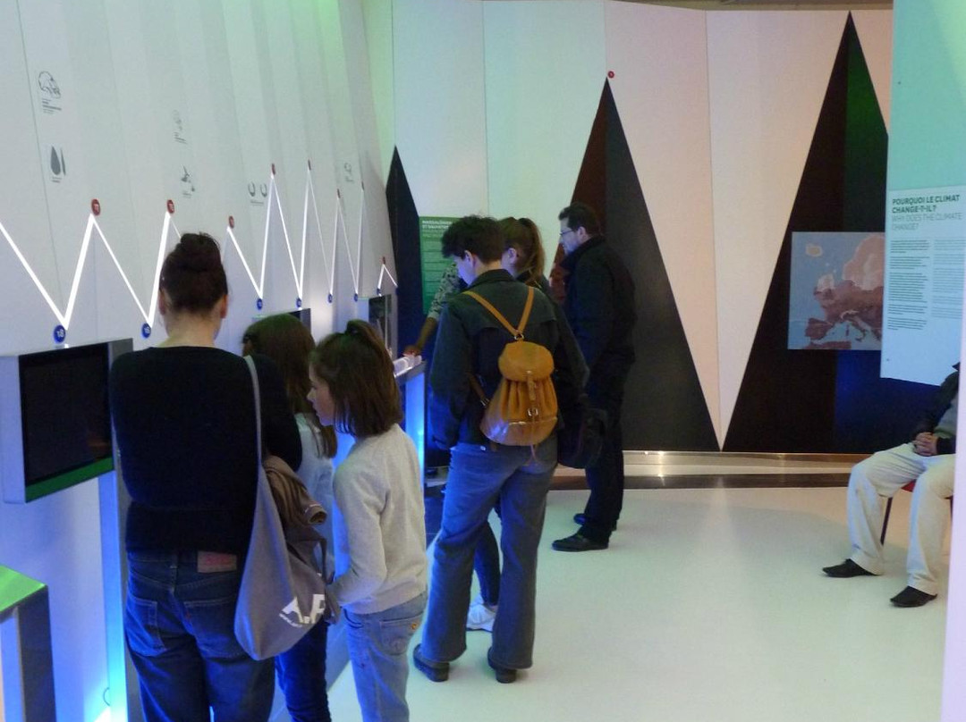 SauveTerre Musée de Préhistoire景点图片