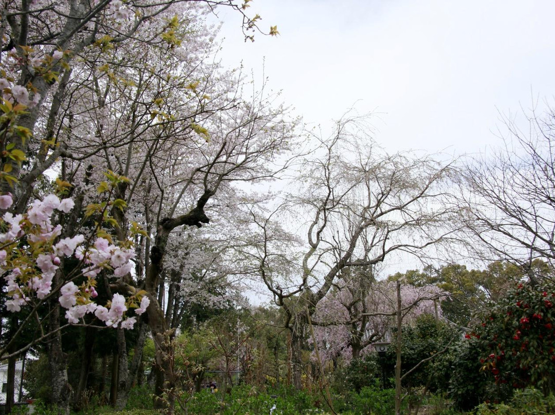 Eshin-in Temple-宇治市必去景点
