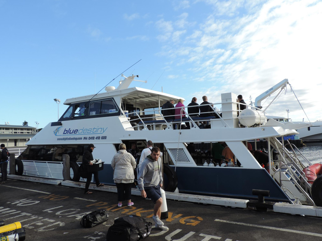 Dolphin Dive Fremantle-弗里曼特尔必去景点