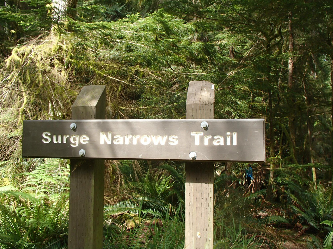Surge Narrows Provincial Park-Surge Narrows必去景点