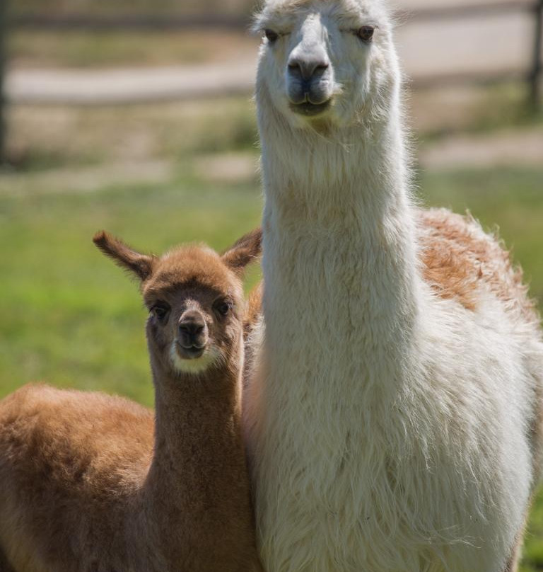 Estancia El Cuadro-卡萨布兰卡必去景点