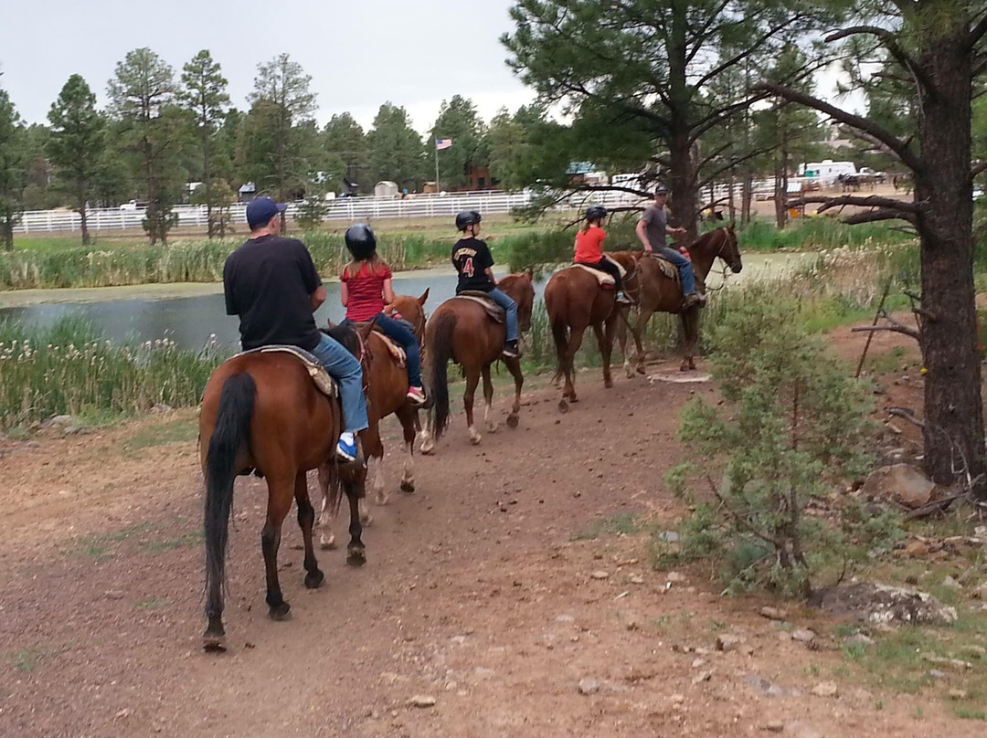 Porter Mountain Stables-Pinetop-Lakeside必去景点