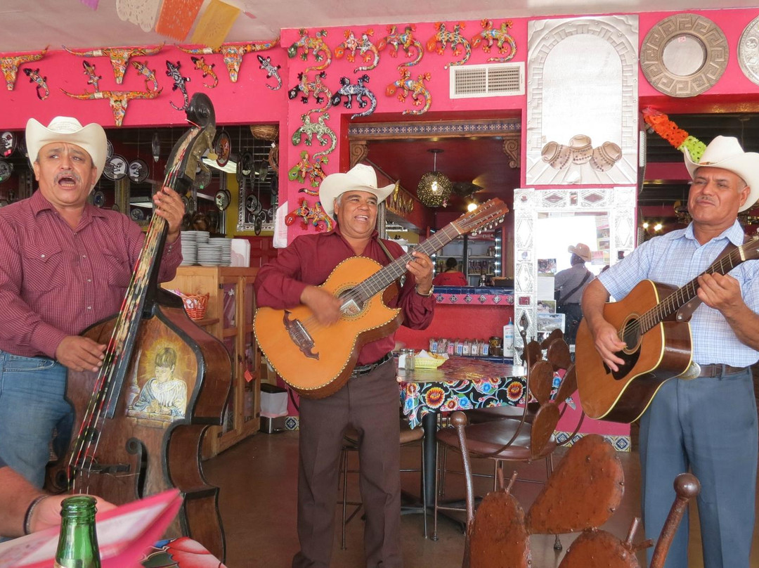 The Pink Store-Palomas必去景点