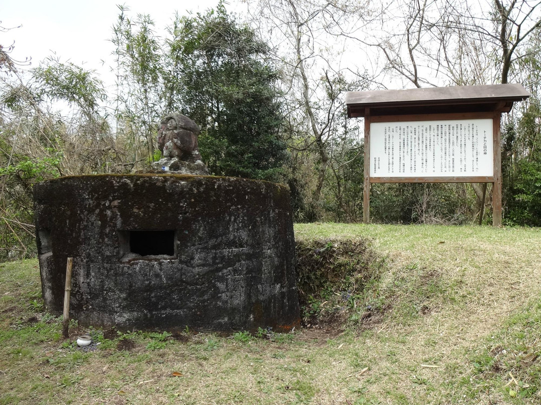 Mochio Park-都城市必去景点