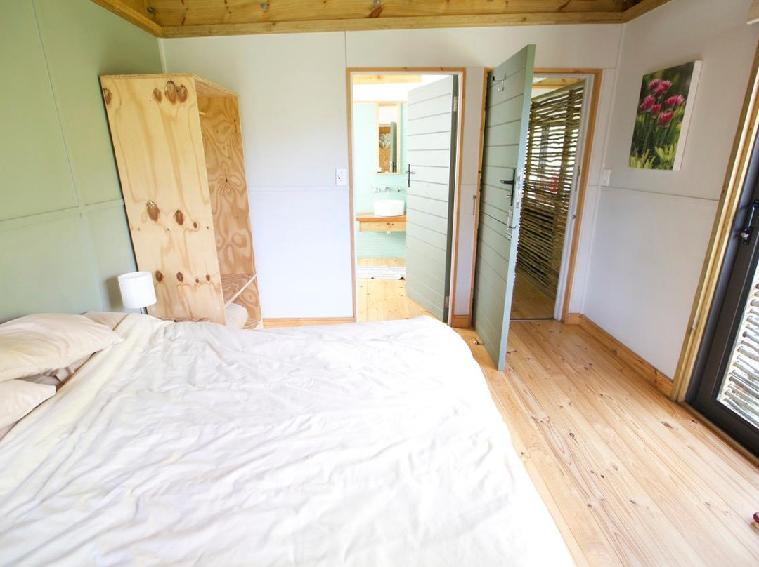 Kogelberg Nature Reserve-开普敦必去景点