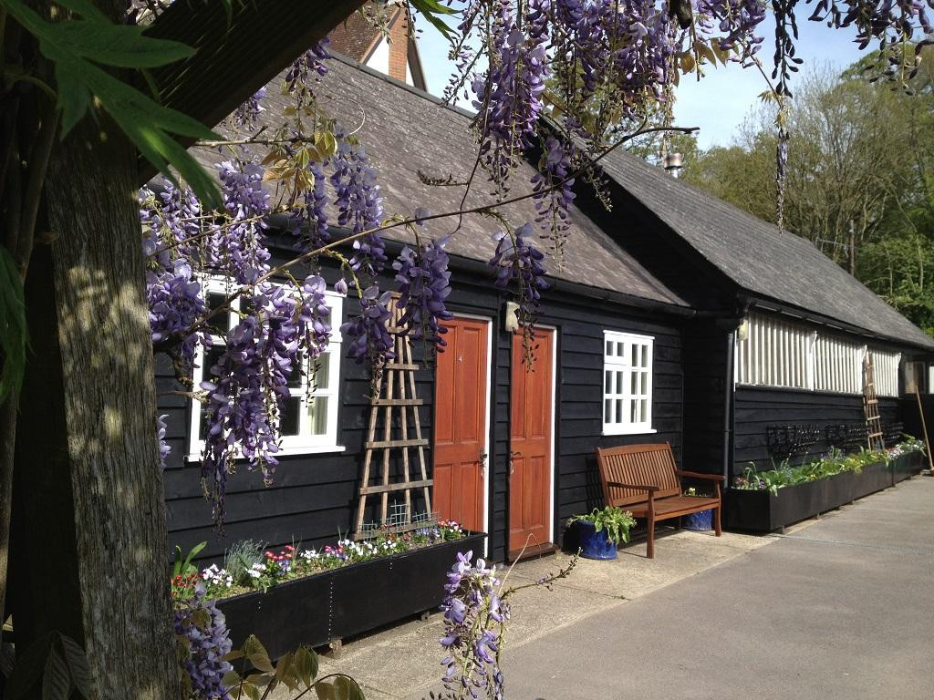 Pitton酒店住宿-Wisteria Cottage B&B