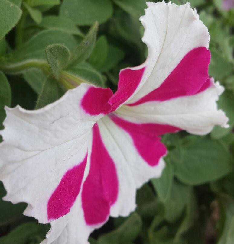 Kohat Pass-Kohat必去景点