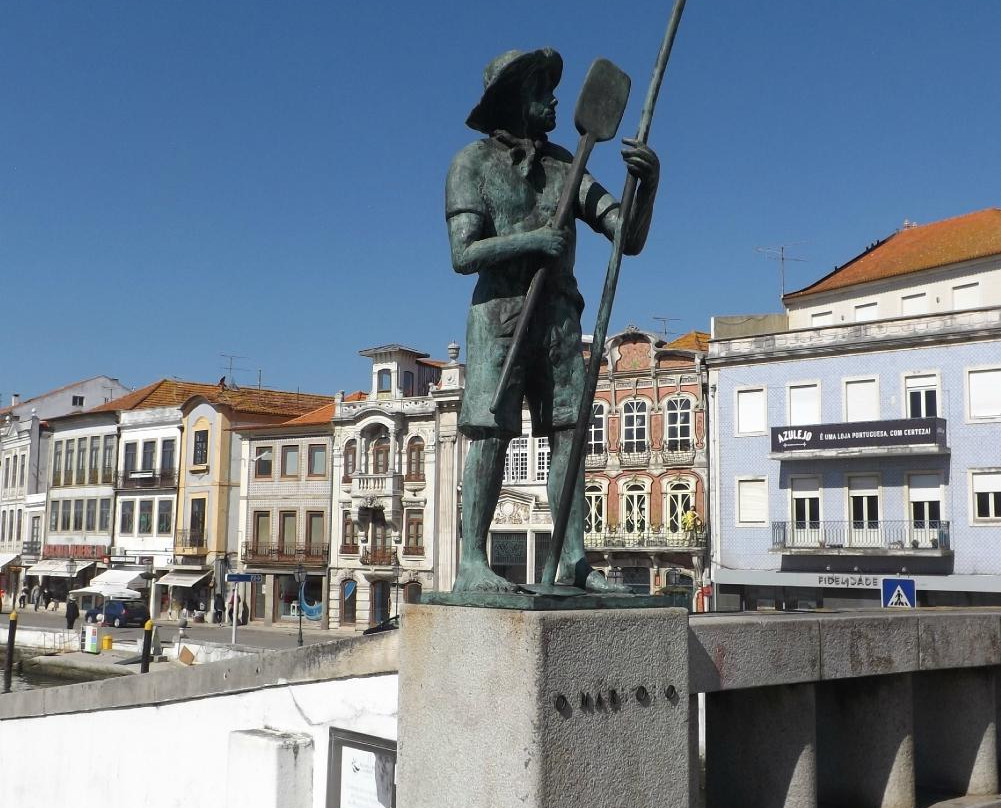 Aveiro Walk Around景点图片