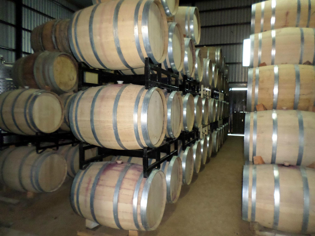 Xecue Vinicola-Valle de Guadalupe必去景点