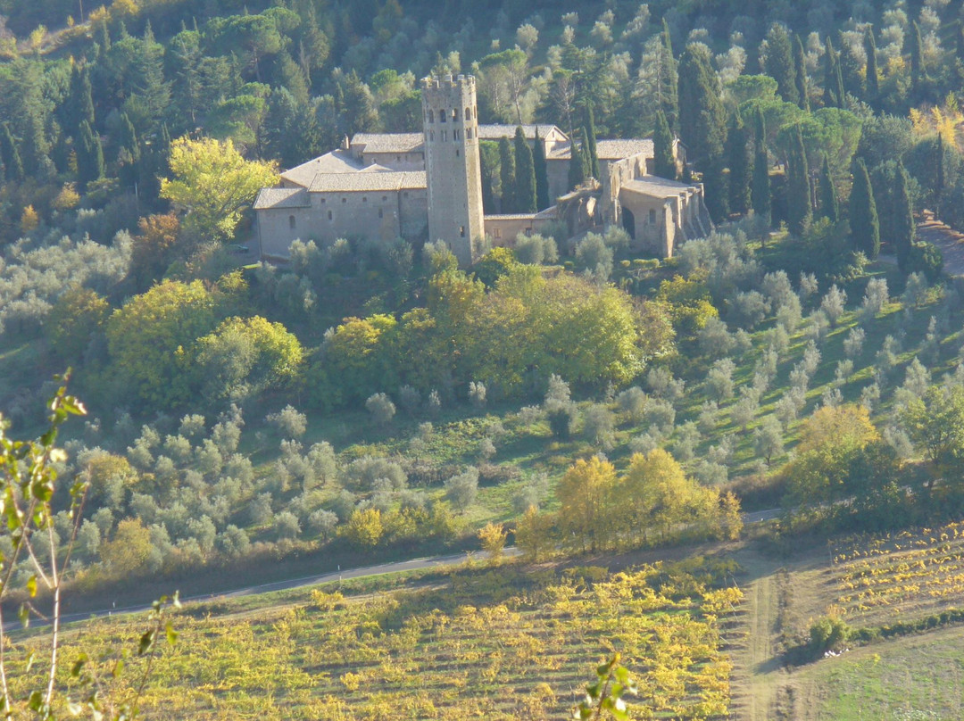 Abbey of Saints Severus and Martyrius景点图片