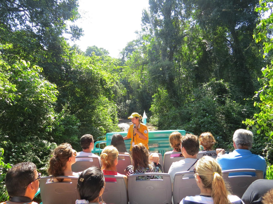 Safaris de la Selva-伊瓜苏港必去景点