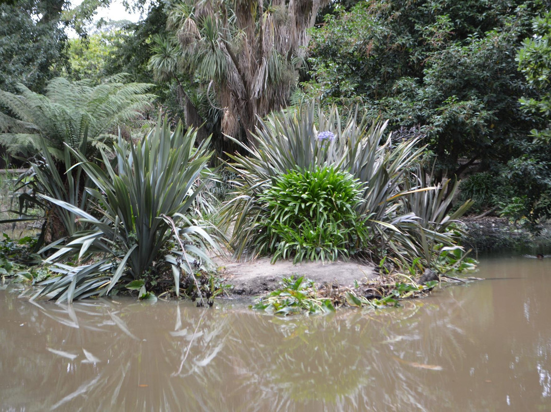 Buninyong Botanic Gardens-Buninyong必去景点