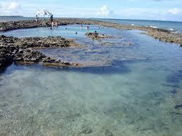 Costeira Executive Tur-Maragogi必去景点