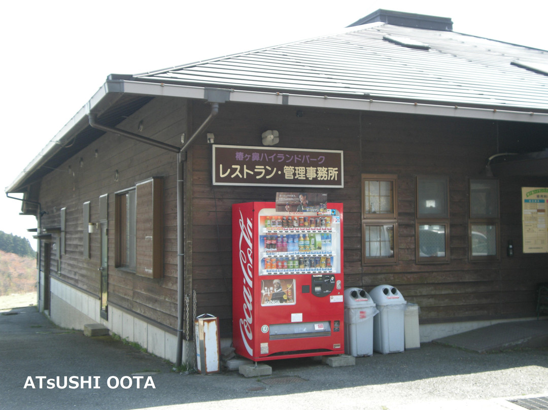 Tsubakigahana Camping Site-日田市必去景点