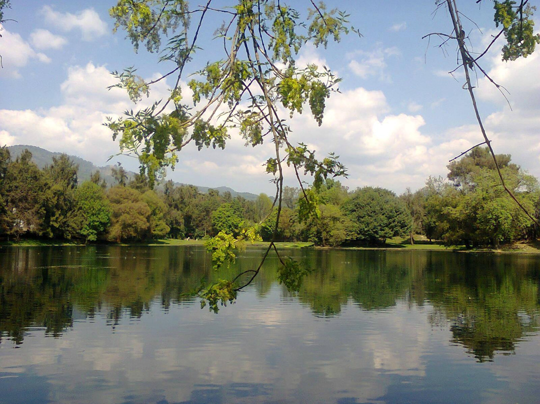 Presa Santa Catarina景点图片
