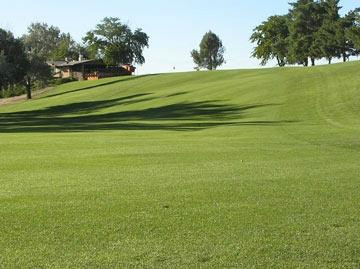 Scotch Pines Golf Course景点图片
