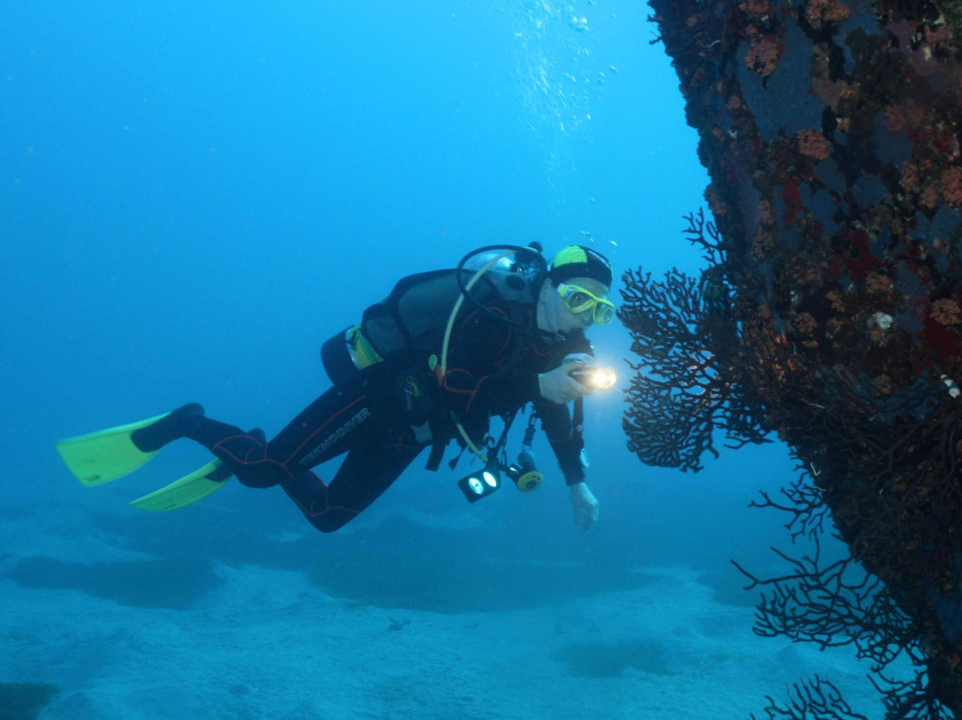 Scubaqua Dive Center-圣尤斯泰希厄斯岛必去景点