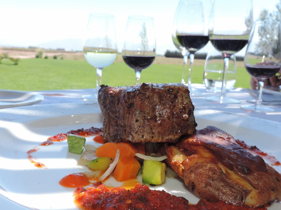 Mendoza Wine Tour-门多萨必去景点