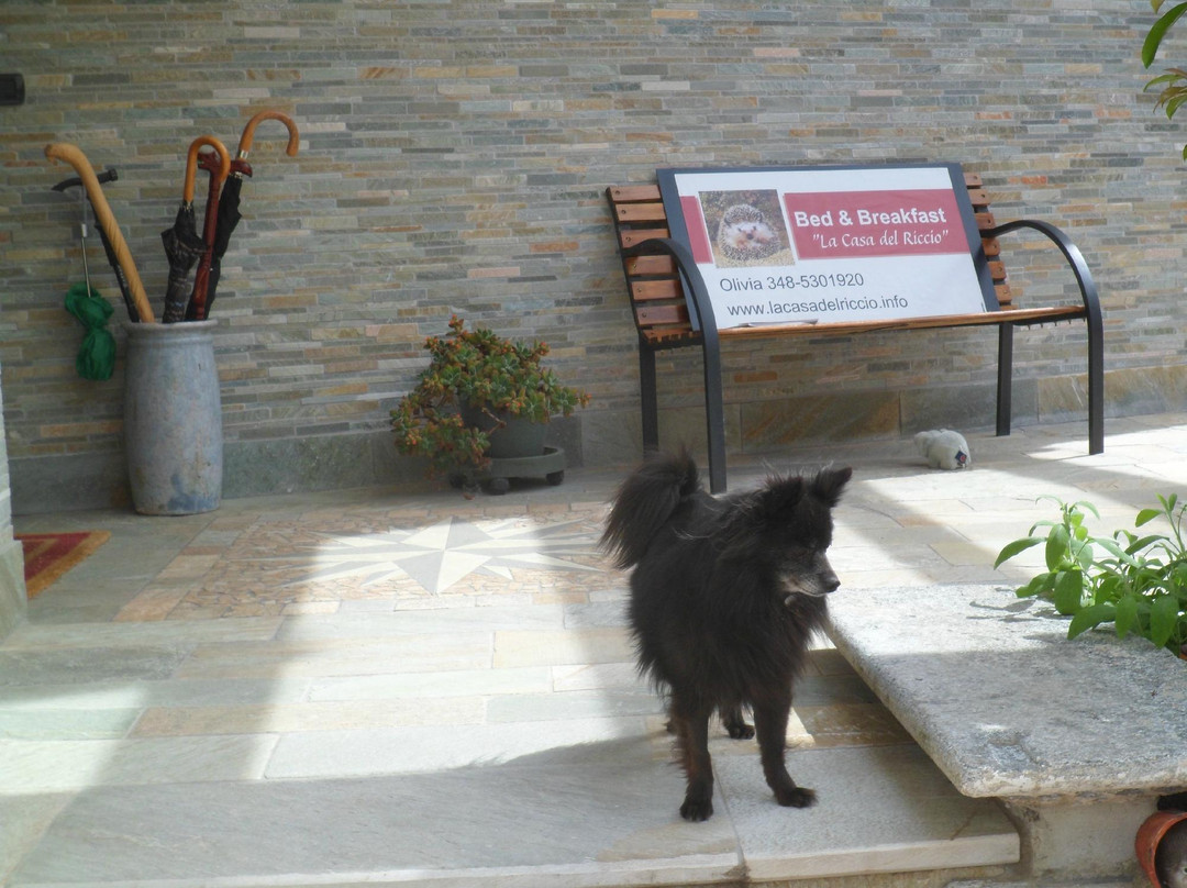 Bed and Breakfast La Casa del Riccio主图