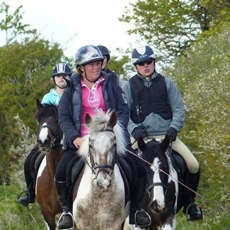Happy Valley Riding School景点图片