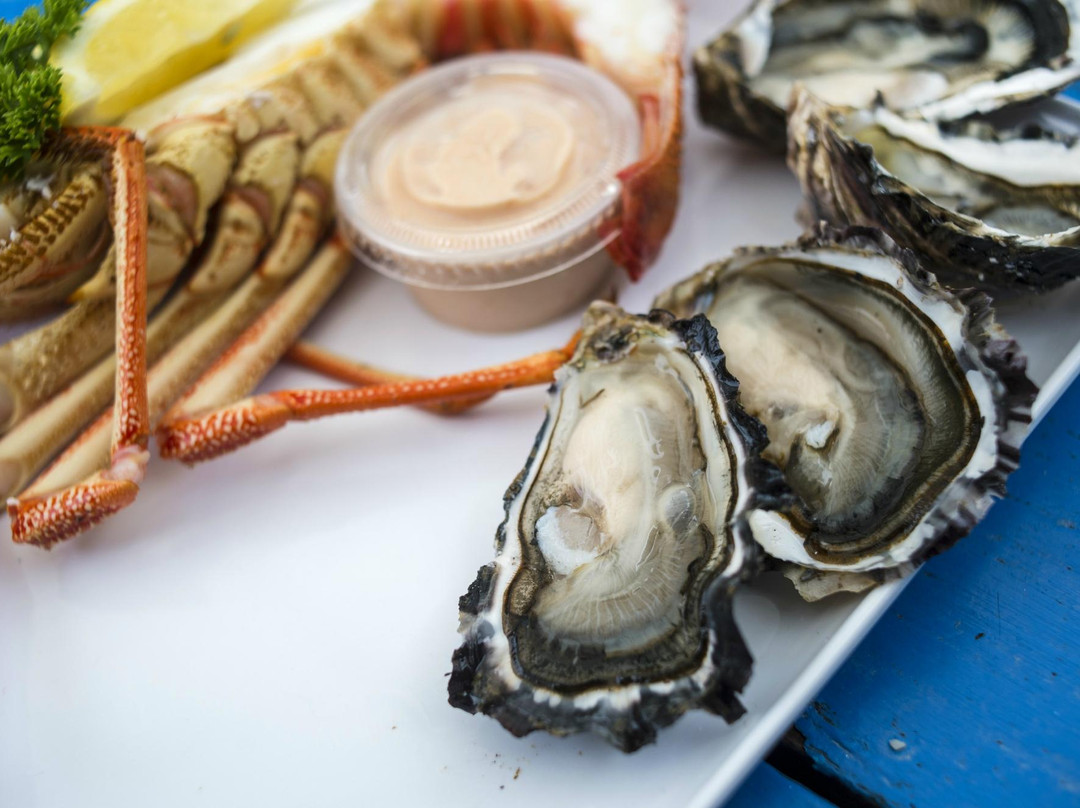 观菲欣纳海洋农场-科尔斯湾必去景点