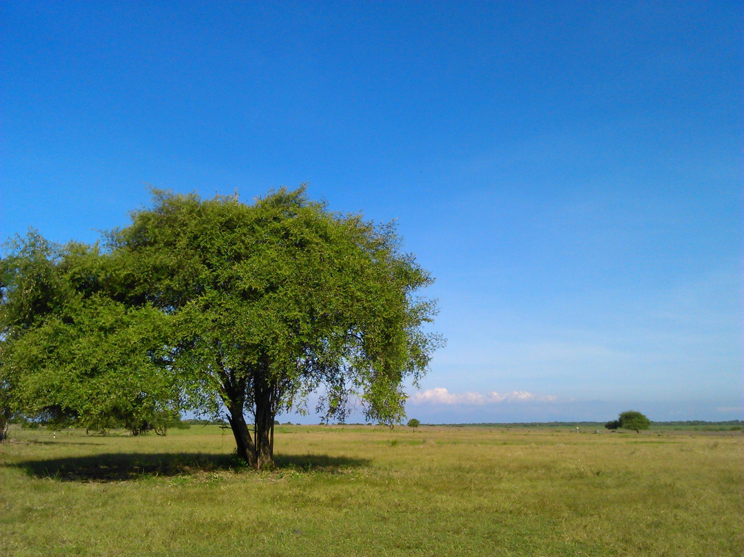 Baluran National Park-Situbondo必去景点