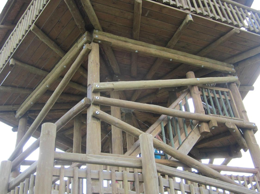 Viru Bog Trail-Kolga必去景点