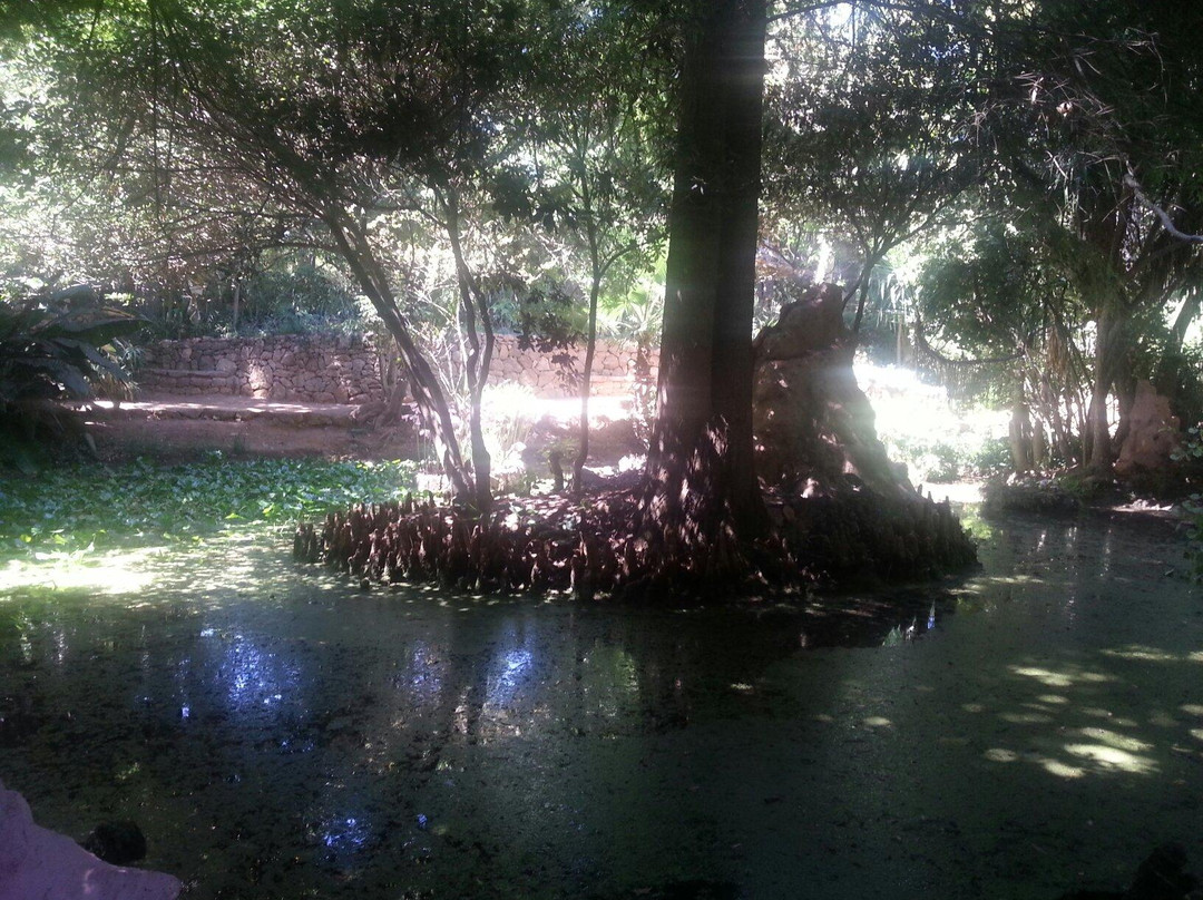 Les Jardins Exotiques De Bouknadel-拉巴特必去景点