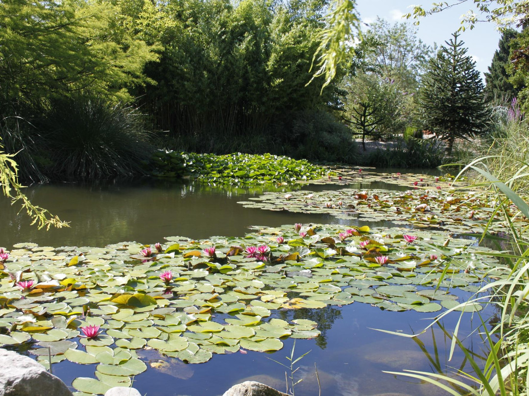 Jardin Aquatique Aux Fleurs de l'Eau景点图片