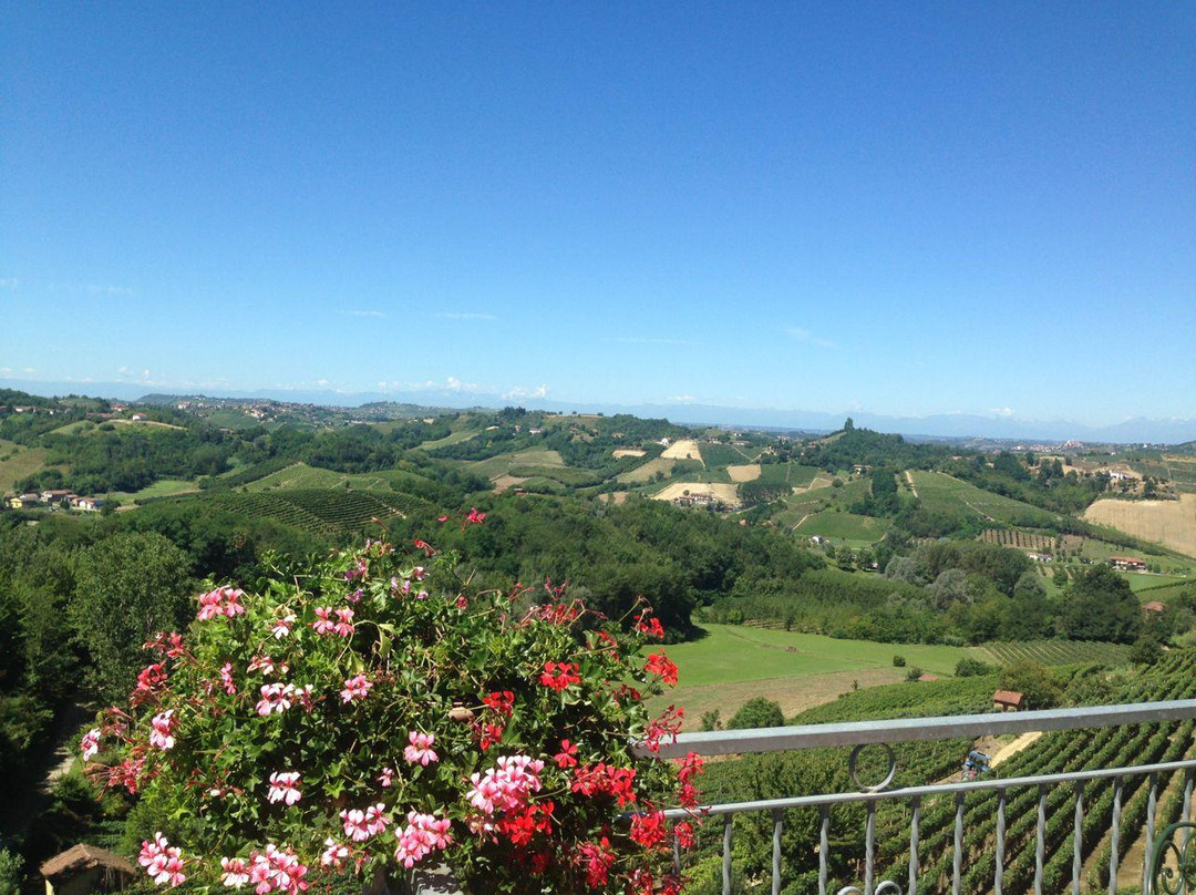 Azienda Agrituristica Collina S. Michele