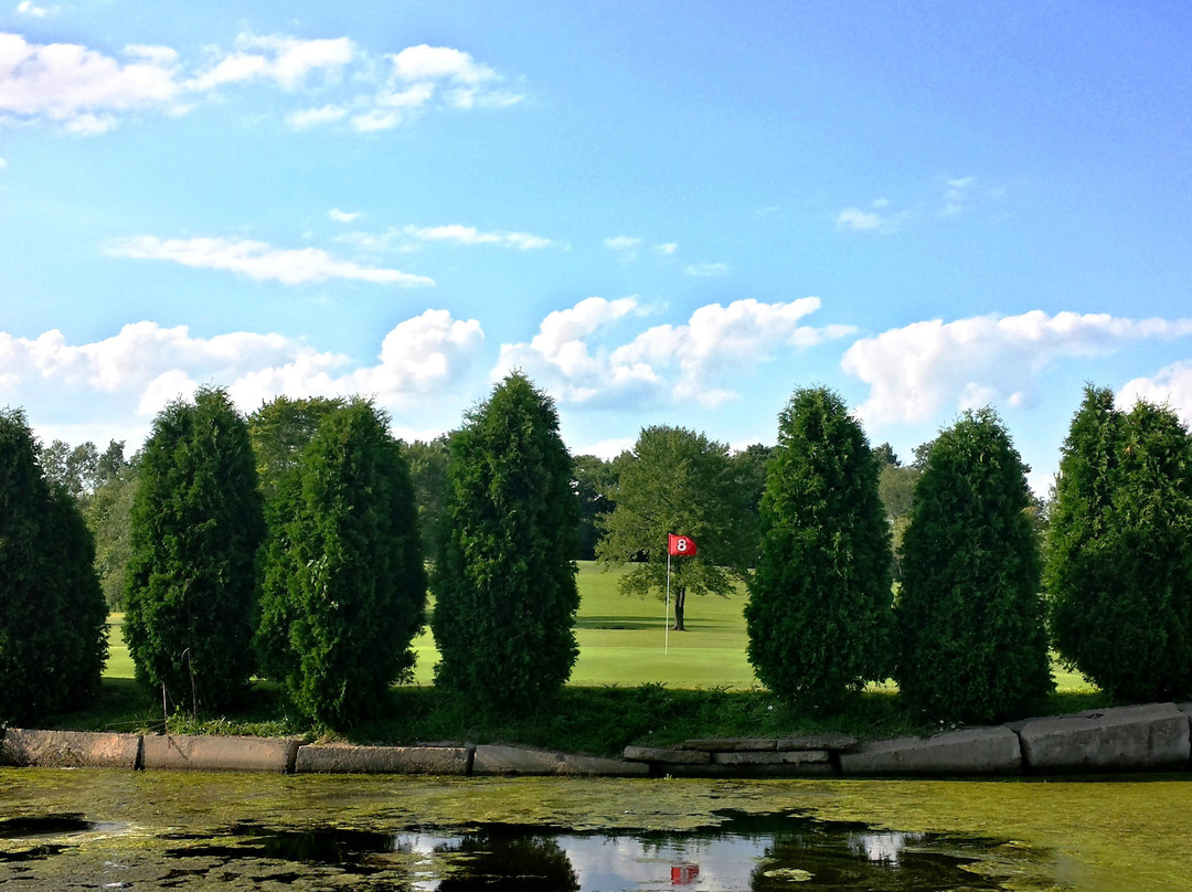 All About Golf景点图片