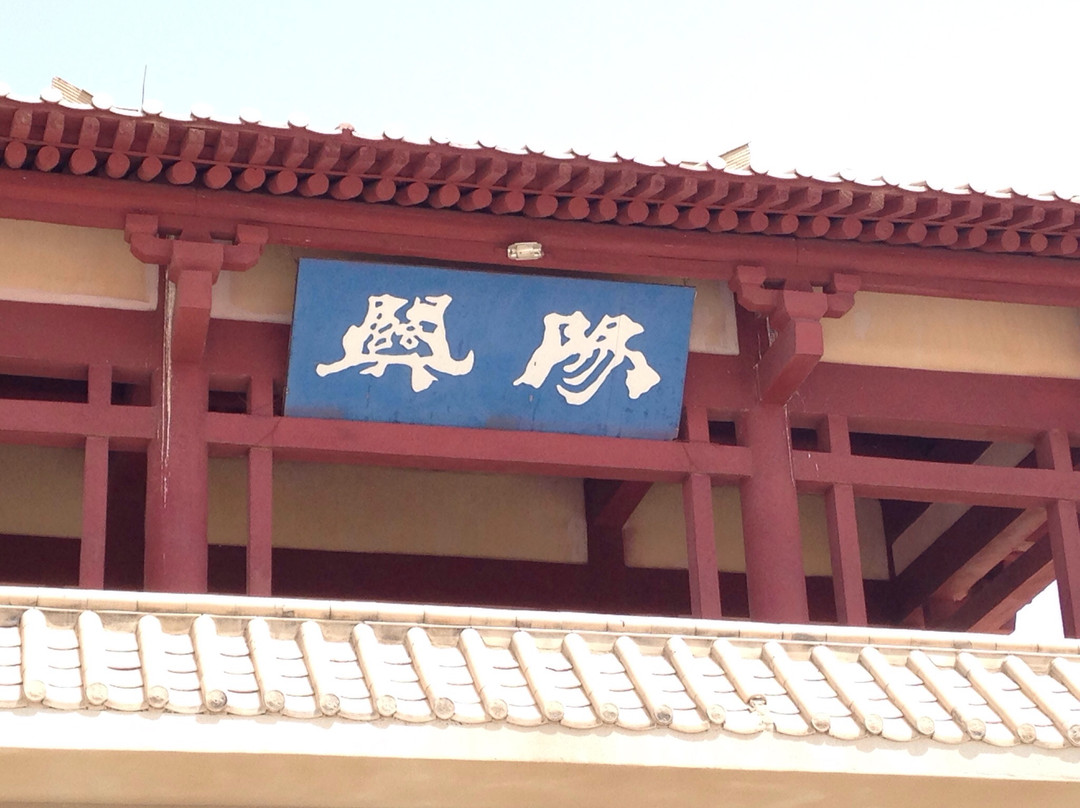 阳关博物馆景点图片